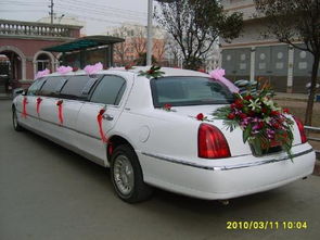 東鵬泰潤(rùn)汽車租賃